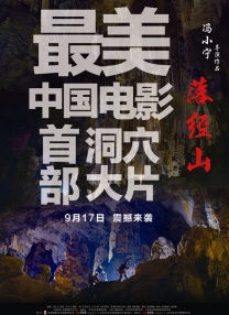 全国最大色成免费网站